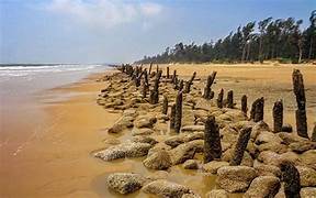 Mandarmani Beach Tour